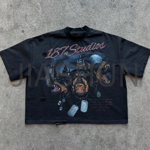 Custom Graphic T-Shirt · 230 gsm