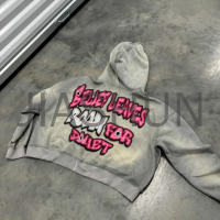 Sun Faded Regular Fit Zip-Up Hoodie